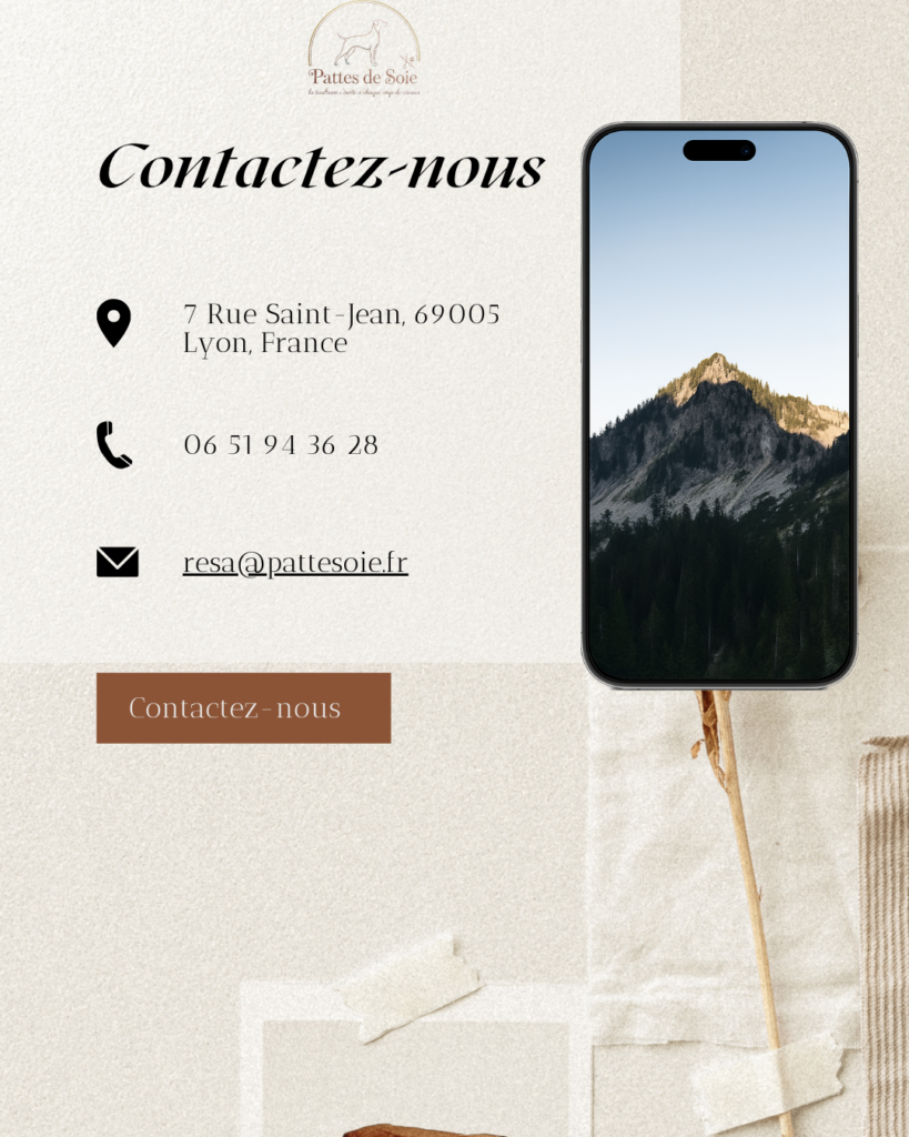 beige brown minimalist neutral phone mockup coaching contact us instagram post