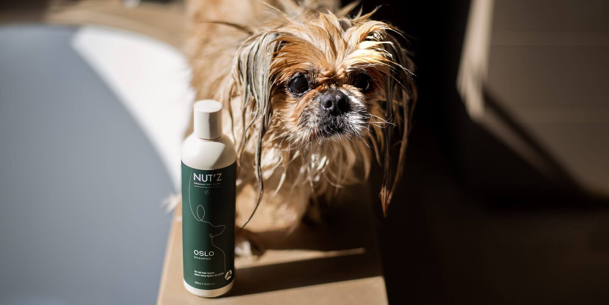 Nos produits oslo 1 2048x1025