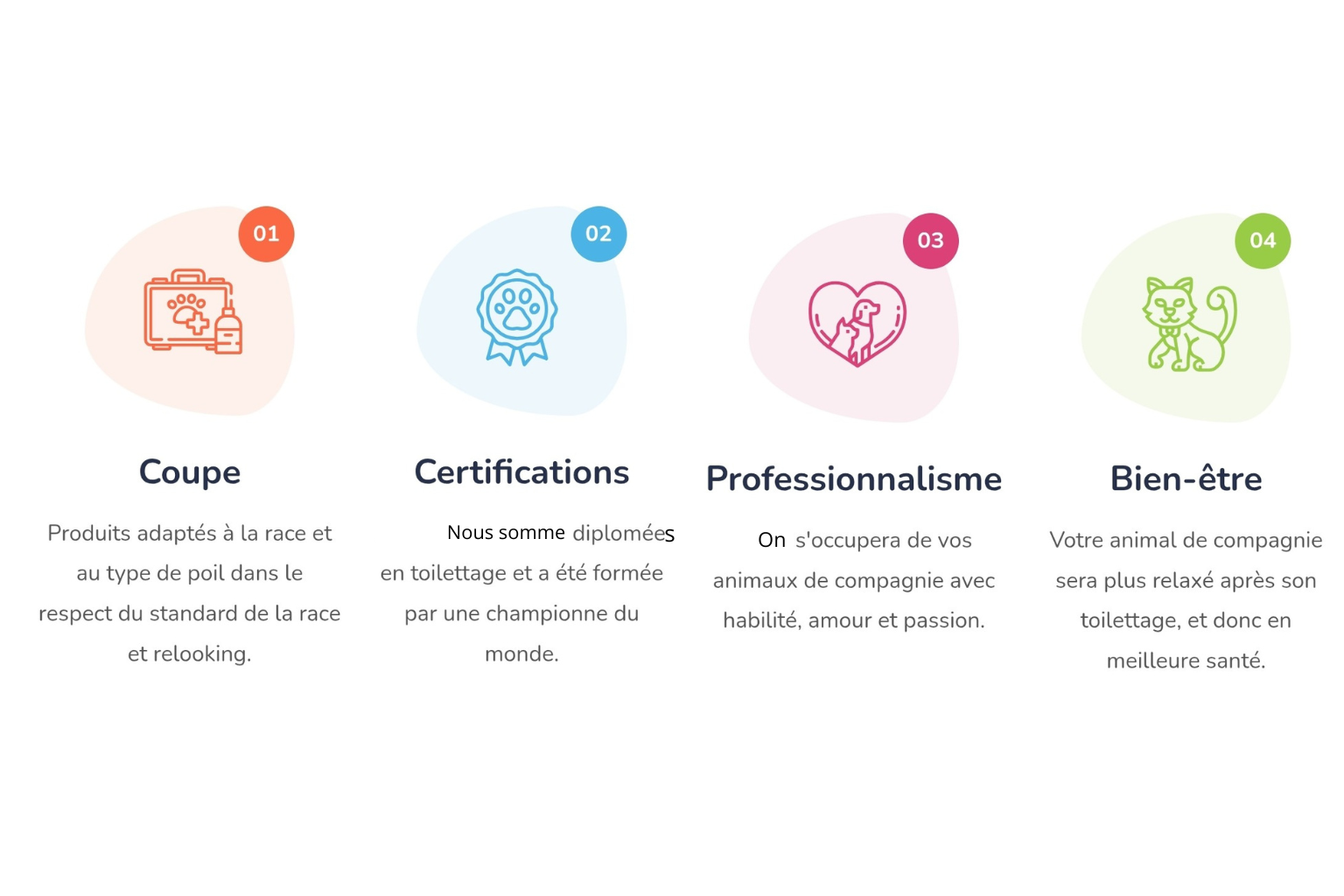 votre texte de paragraphe 1